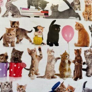 EuroGraphics Puzzle – The World of Cats – 2000